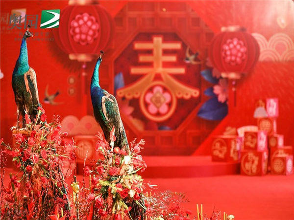 如何搞定高端的年會(huì)活動(dòng)？以下這六點(diǎn)可以幫你！